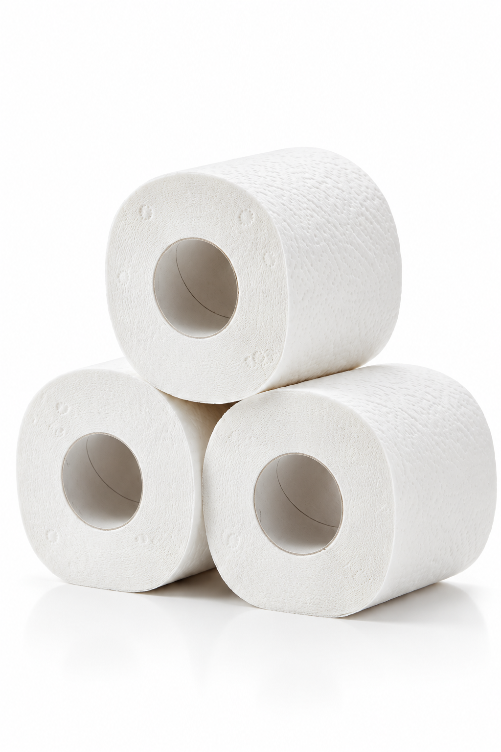 Papier Toilette (lot de 12)